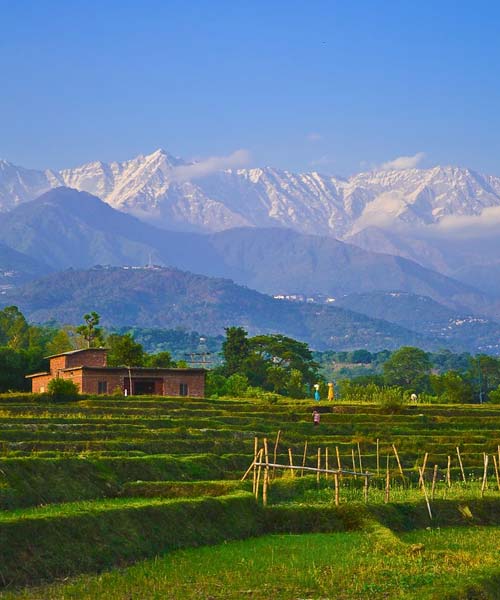 Kangra Valley 5 Nights 6 Days Tour