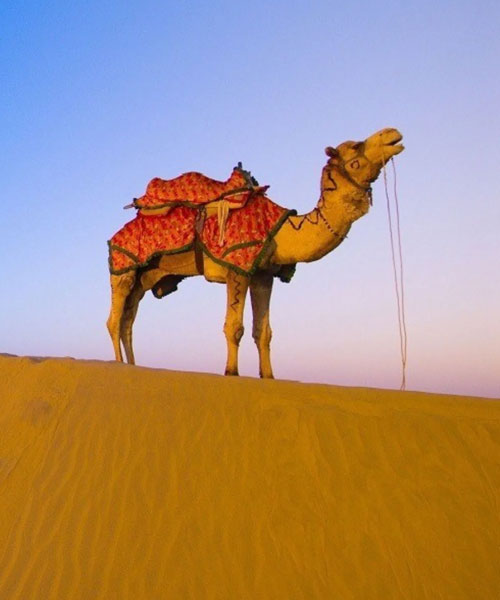 Golden Triangle Tour With Ajmer And Pushkar