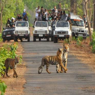 Golden Triangle Tour with Ranthambore