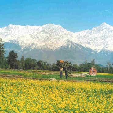 Himachal Kangra